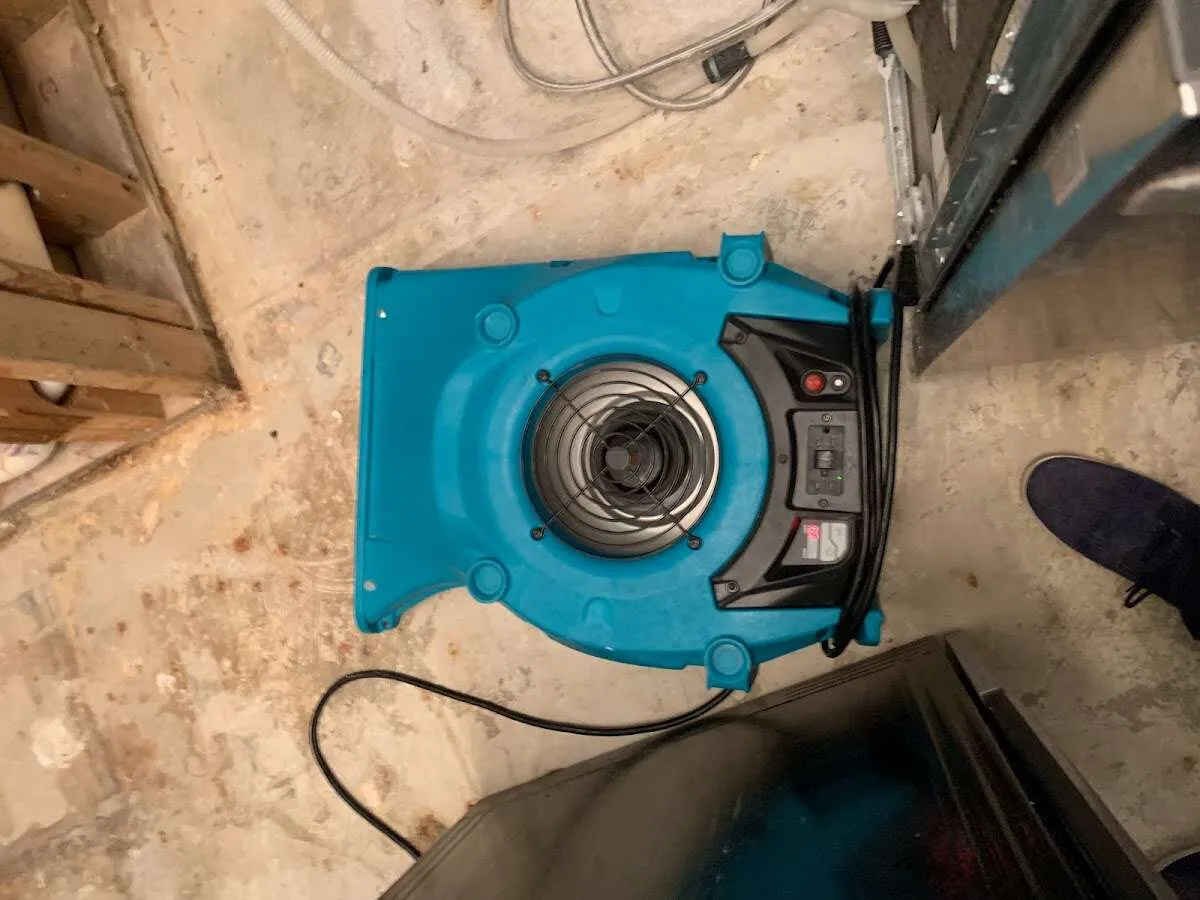 Air mover drying equipment for Mold Remediation & Removal in Lincoln Park